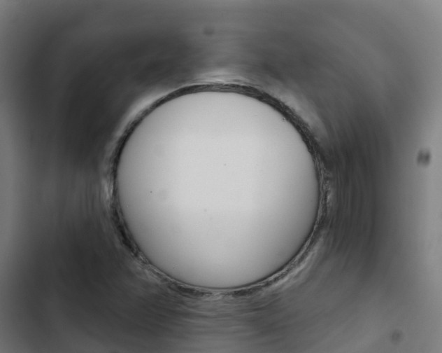 X0000103421358200809121002