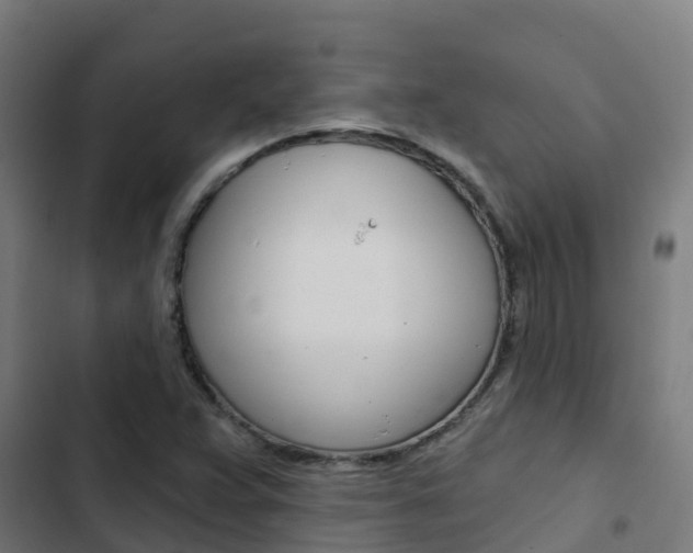 X0000103421359200809121002