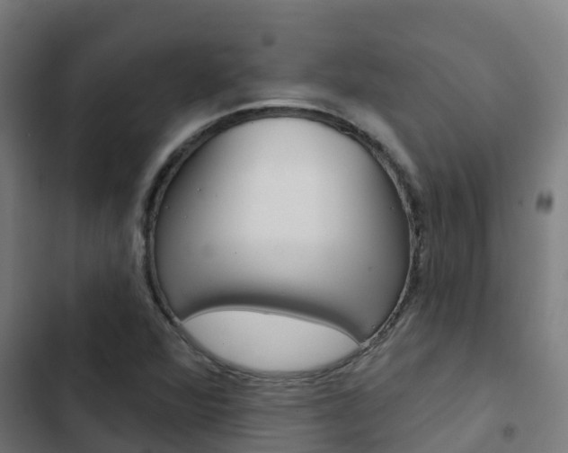 X0000103421360200809121002