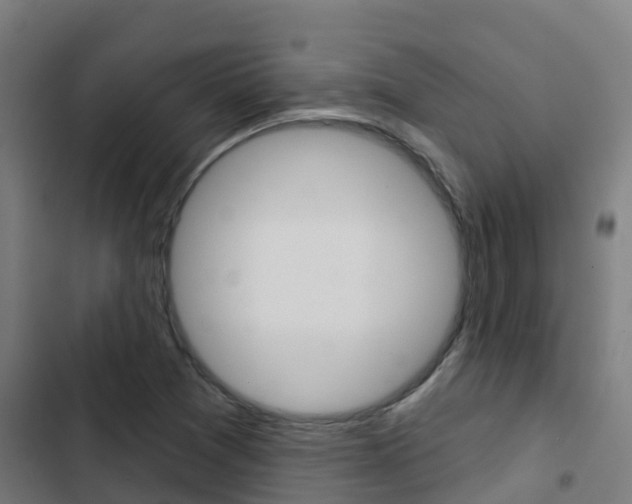 X0000103421361200809121002