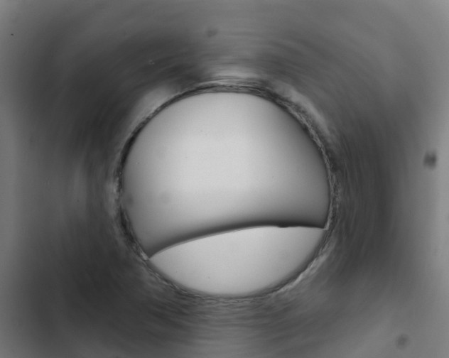 X0000103421362200809121002