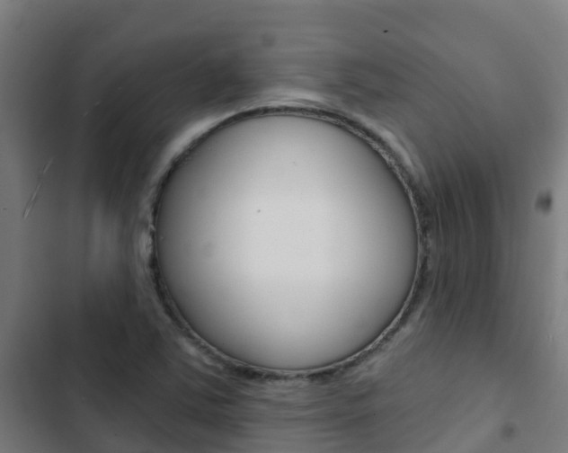 X0000103421363200809121002