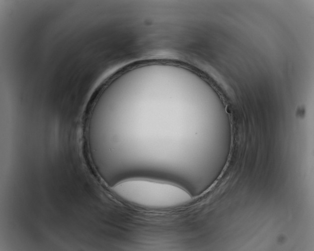 X0000103421364200809121002