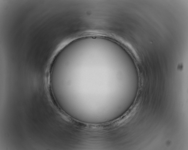 X0000103421365200809121002