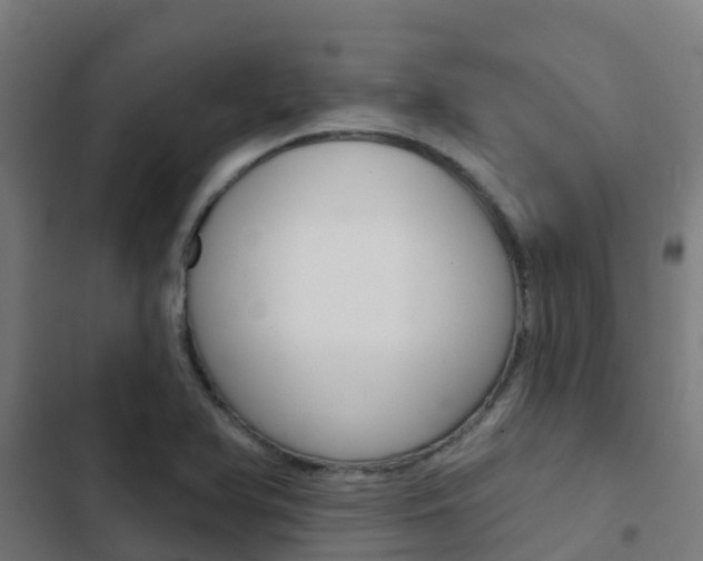 X0000103421366200809121002