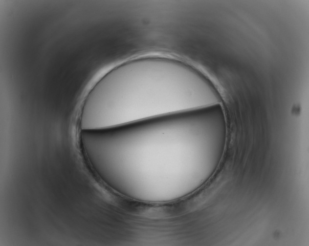 X0000103421367200809121002