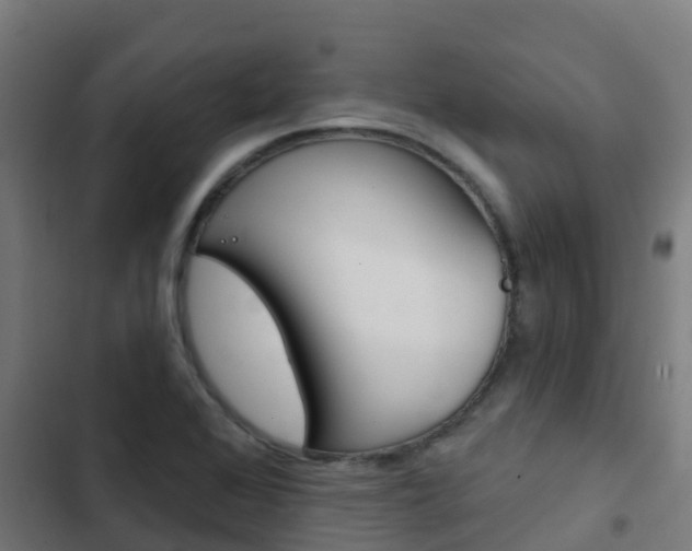 X0000103421368200809121002