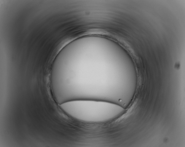 X0000103421369200809121002