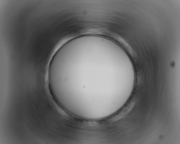 X0000103421370200809121002