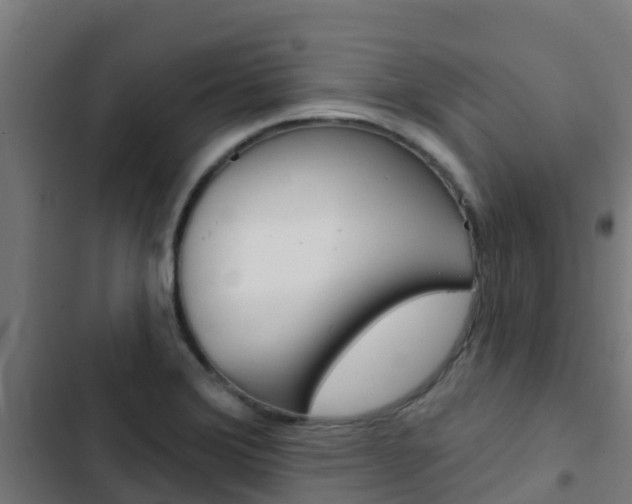 X0000103421372200809121002