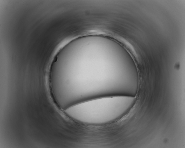 X0000103421373200809121002