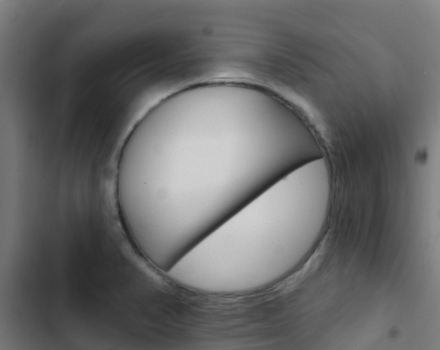 X0000103421374200809121002