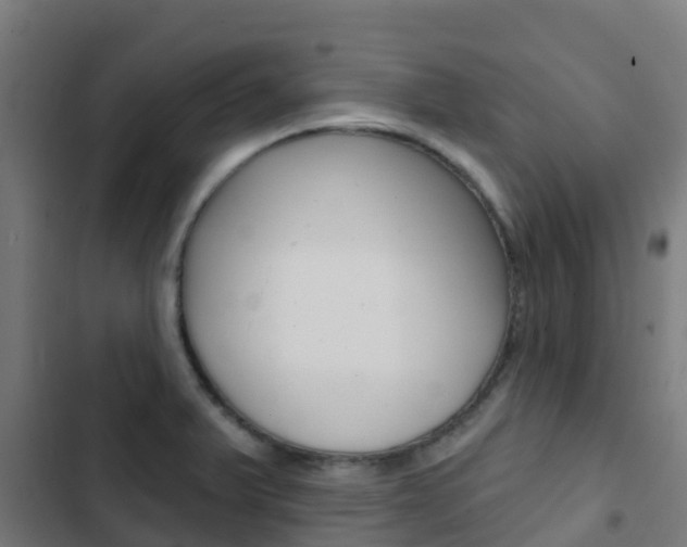 X0000103421375200809121002