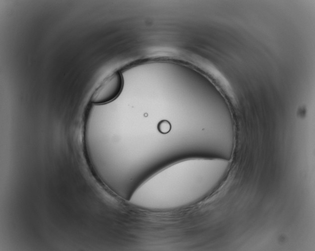 X0000103421376200809121002