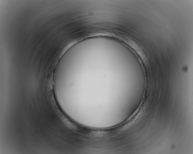 X0000103421377200809121002