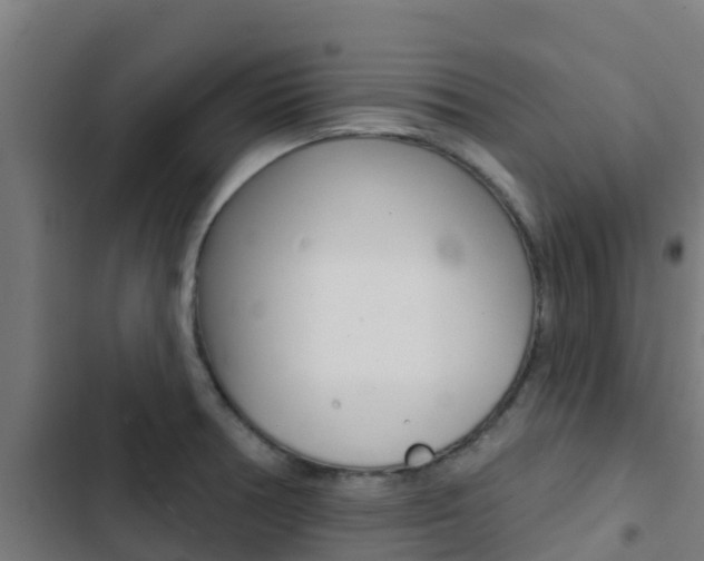 X0000103421378200809121002
