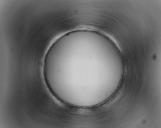 X0000103421379200809121002