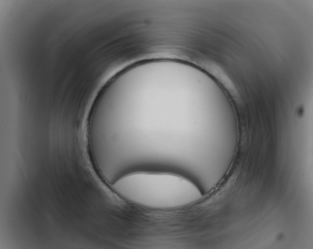 X0000103421380200809121002
