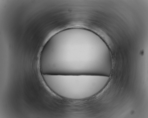 X0000103421382200809121002
