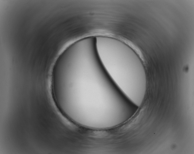 X0000103421383200809121002