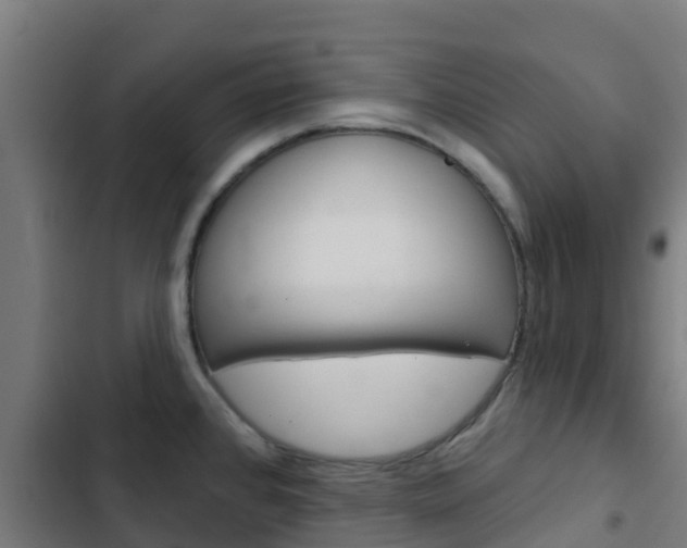 X0000103421384200809121002