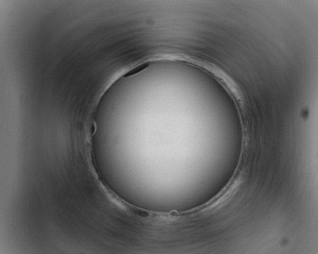 X0000103421385200809121002