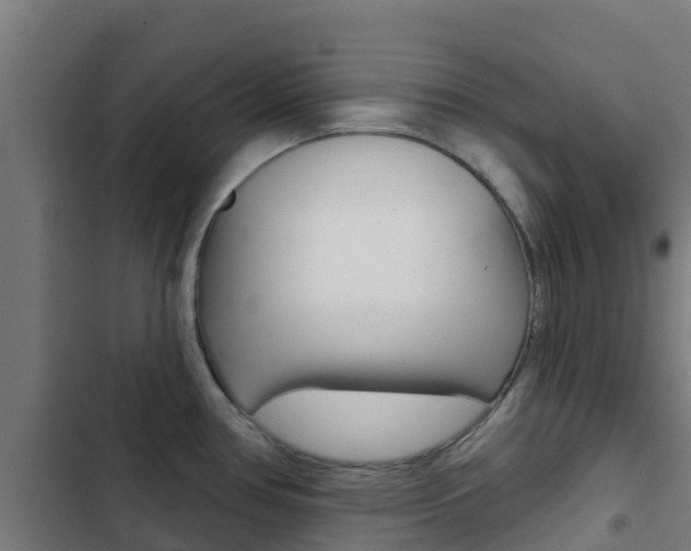 X0000103421386200809121002