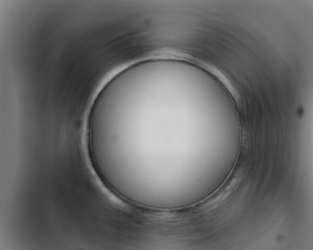 X0000103421387200809121002