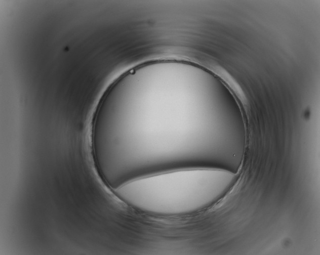 X0000103421388200809121002
