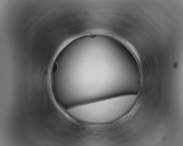 X0000103421389200809121002