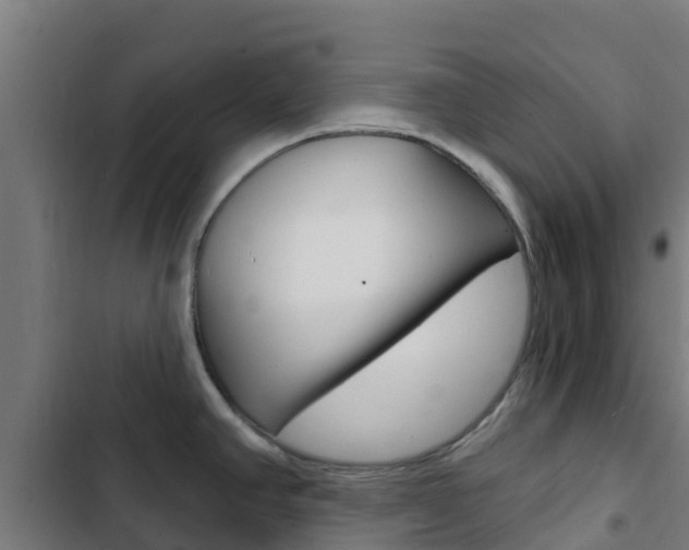 X0000103421390200809121002