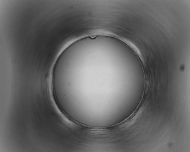 X0000103421391200809121002