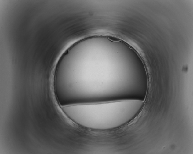 X0000103421392200809121002