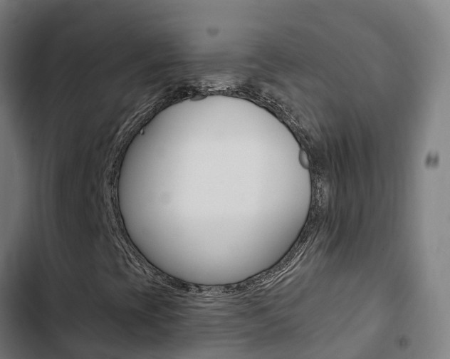 X0000103421393200809121001