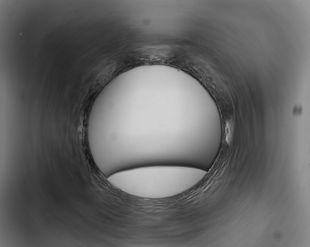 X0000103421395200809121001