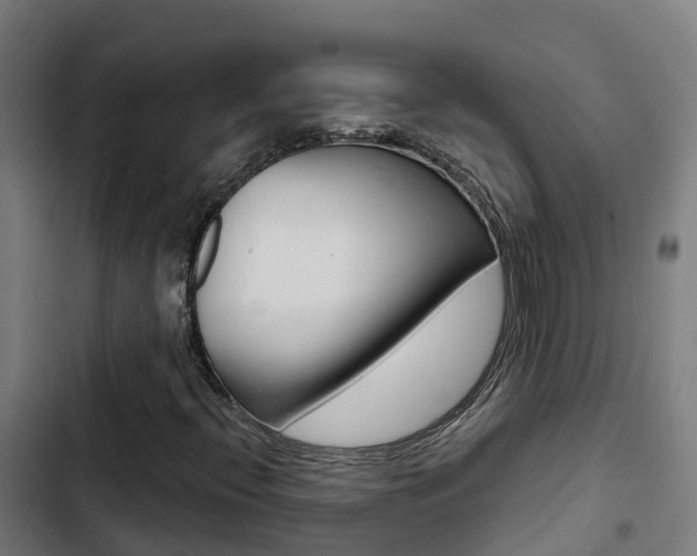 X0000103421396200809121001