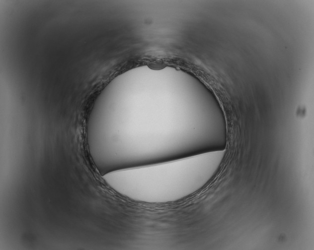 X0000103421397200809121001