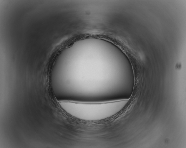 X0000103421398200809121001