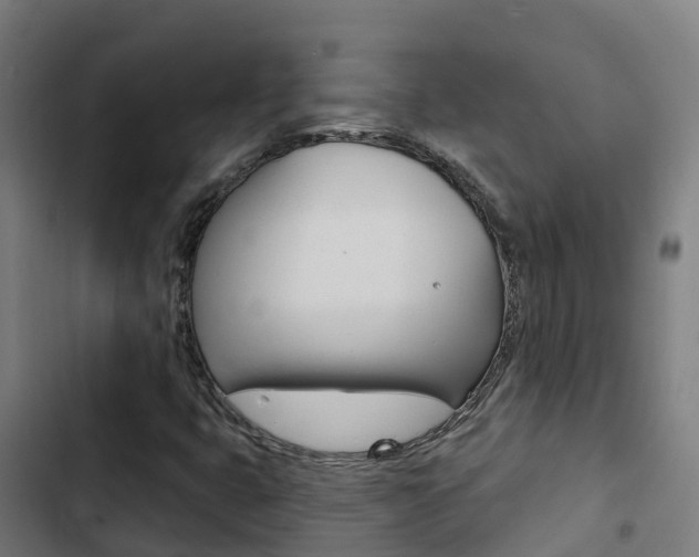 X0000103421399200809121001