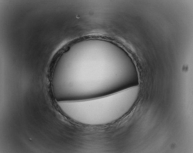 X0000103421400200809121001
