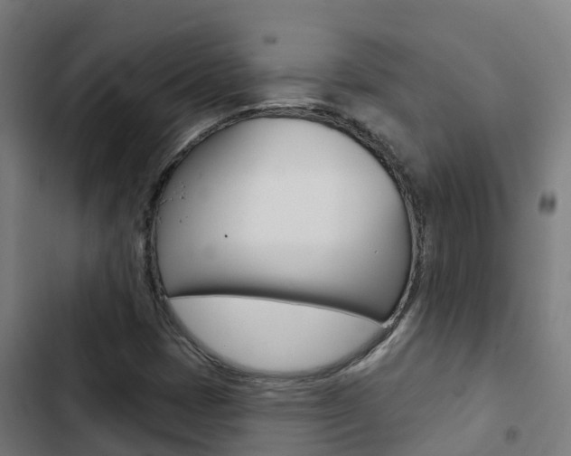 X0000103421401200809121001