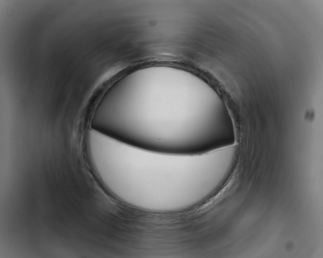 X0000103421402200809121001
