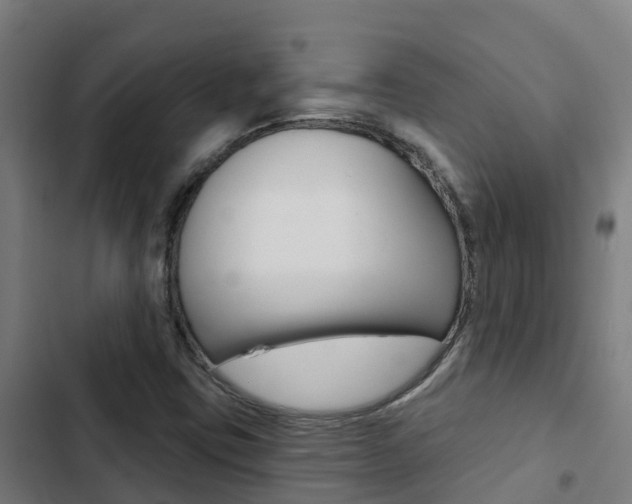 X0000103421403200809121001