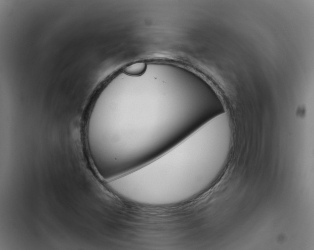 X0000103421404200809121001