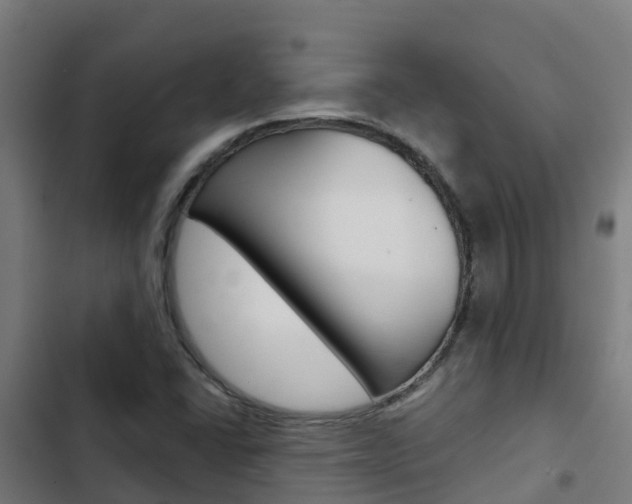 X0000103421406200809121001