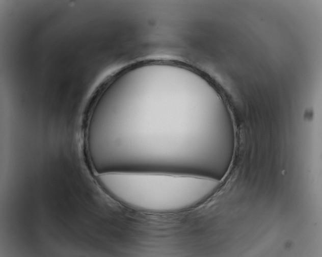 X0000103421408200809121001