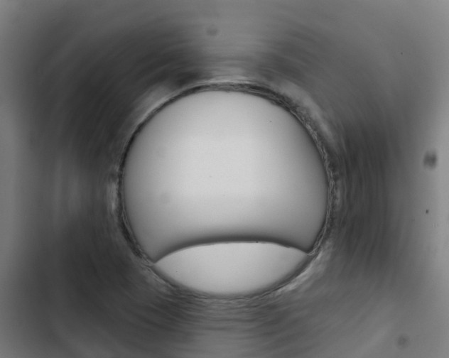 X0000103421409200809121001
