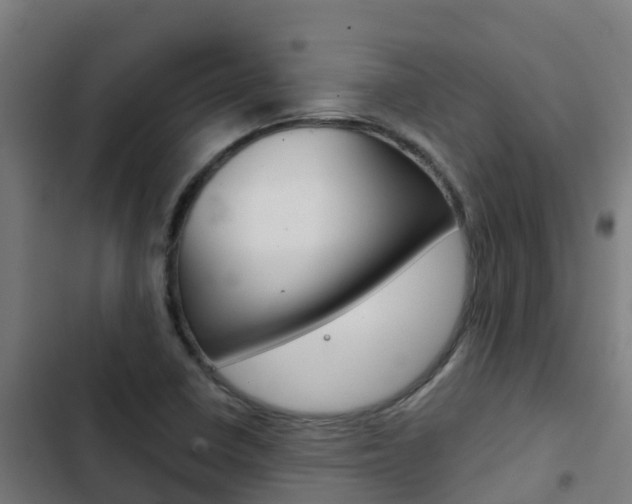 X0000103421410200809121001
