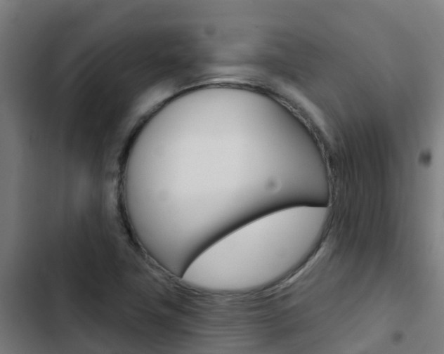 X0000103421411200809121002