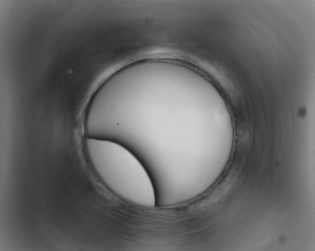 X0000103421413200809121002
